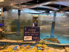 -一方渔歌蒸汽海鲜自助(文化路万达广场店)