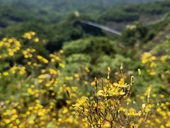 -修水东浒寨风景区