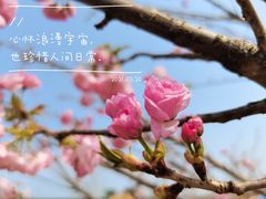 -长廊欢乐园
