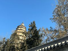 -开元寺塔