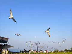 -东港音乐喷泉广场