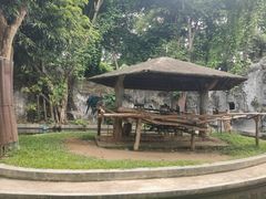 -清迈夜间动物园