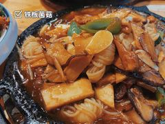铁板菌菇-满园春饼(运河城店)