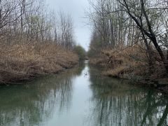 -溱湖国家湿地公园