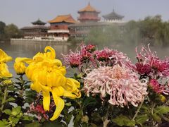 -中国翰园碑林