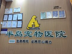 -半岛宠物医院24小时·内窥镜·牙科·碎石中心(府城大道店)