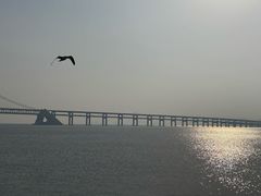 -川旺角川粤融合菜•海景餐厅(星海广场店)