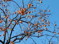 -北京动物园-畅观楼