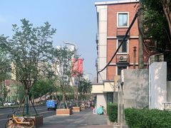 -邓氏兔头