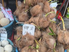 -鸿港海鲜批发市场