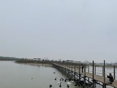 -池杉湖湿地公园