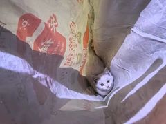 -上海市宝山区罗店医院