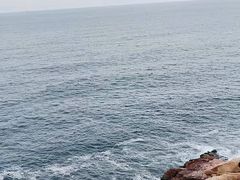 -广东惠东海龟国家级自然保护区