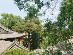 -大觉寺-停车场