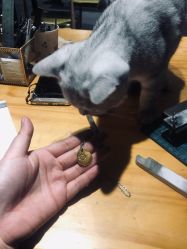 -邵老师打金·黄金加工(大望路总店)