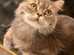 -猫和宫(六道口店)