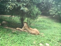 -西安秦岭野生动物园