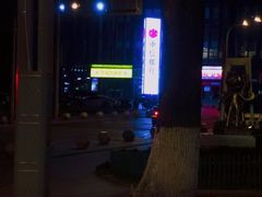 -重庆市江北嘴中央商务区中央公园