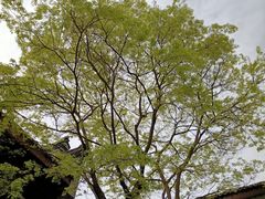 -龙潭水乡
