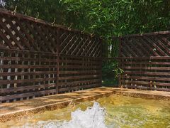 -春晖园度假酒店温泉