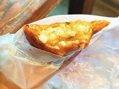 -半月镰胡姐脆皮萝卜饺子