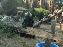 -大连森林动物园