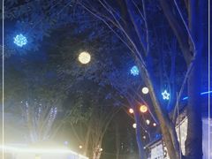 -醉二娘正宗西昌火盆烧烤(大丰店)
