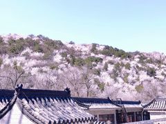 -居庸关长城