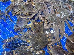 -船奇蒸汽海鲜·闽菜(八市海鲜总店)