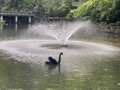 -杭州动物园