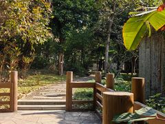 -深圳国际园林花卉博览园