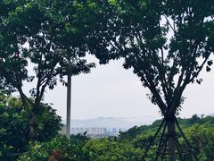 -飞凤山奥体公园