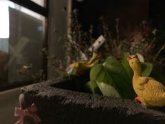-风车面包