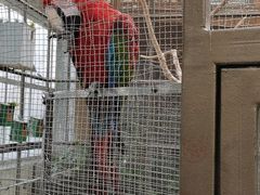 -南宫五洲植物乐园