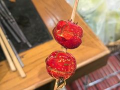 糖葫芦-友乐居羊蝎子(西直门店)