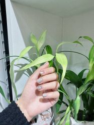-CM.Nail美甲美睫