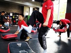 -极斗-IKMF马伽术·格斗运动学院(东直门店)