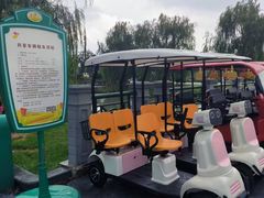 -荷兰花海