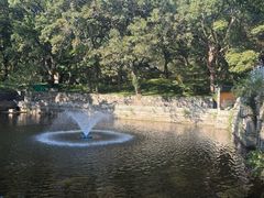 -普陀山风景名胜区-法雨禅寺
