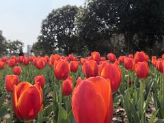 -院士公园