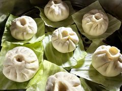 -田螺阿姨自营月嫂·育儿嫂(高新店)