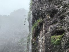 -江西龙虎山景区