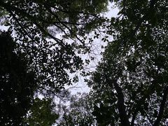 -广州市白云山风景名胜区
