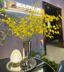 -花隐·美芙炫海菲秀皮肤管理中心