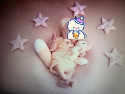 -西瓜庄园儿童摄影