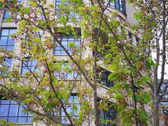 -董家渡渡口售票处