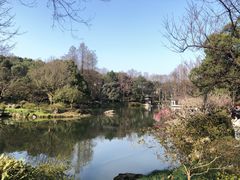 -杭州植物园