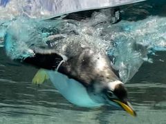 -成都浩海立方海洋公园