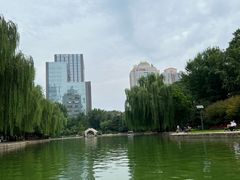 -团结湖公园