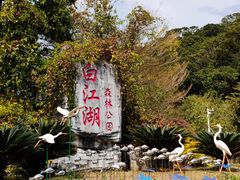 -广州白江湖森林公园